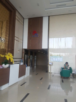 CHO THUÊ CĂN HỘ THE PEGASUIT CC PHƯƠNG VIỆT 75M2, 2 PN, FULL NỘI THẤT P.6, Q. 8