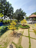 Cần bán gấp nhà vườn đã hoàn thiện Bình Lợi, Bình Chánh.