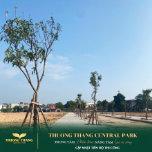 Thông tin dự án Thường Thắng Central Park – Khám phá quy hoạch tiện ích