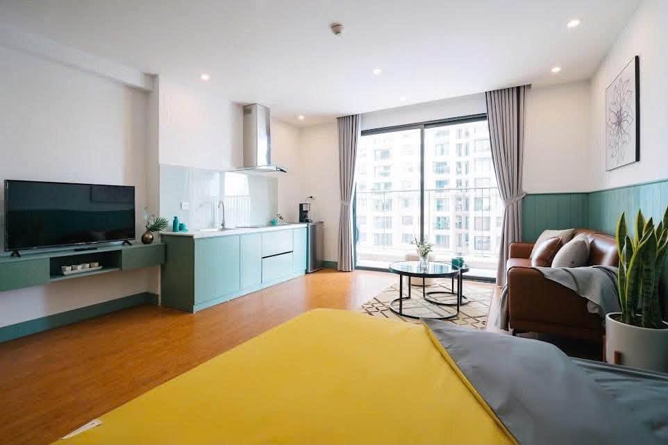 Cho thuê căn studio "hoa hậu" VINHOMES D'CAPITALE C2 cùng view hồ điều hòa thoáng đãng chỉ với 15 triệu/tháng