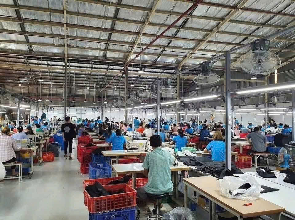 Cho thuê xưởng may siêu vip 5.000m² đường Phạm Văn Sáng, Bà Điểm, Hóc Môn.