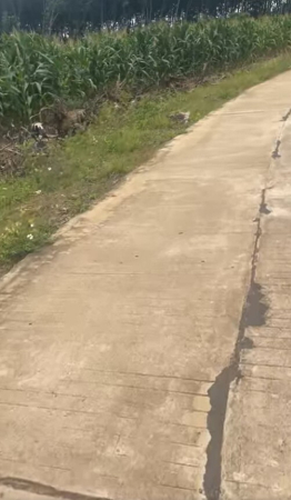 Chủ gửi bán 1,6ha đất Cư Knia cũ - đường bê tông, có cà phê, nhà và điện nước đầy đủ