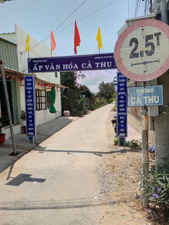 Chính chủ bán đất Thổ Cư đẹp ngay trung tâm hành chính Tân Phú Đông Tiền Giang