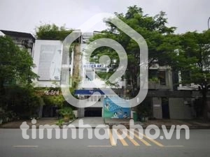 17 Đường Tạ Hiện, Phường Cát Lái 17 Đường Tạ Hiện, Phường Cát Lái