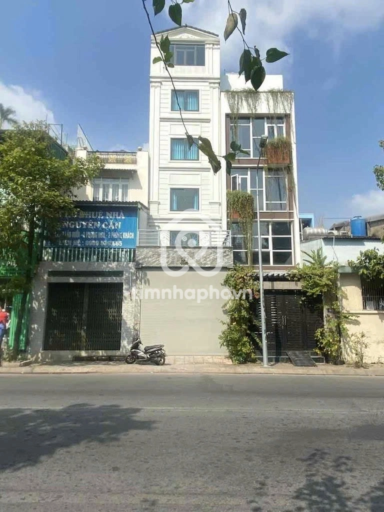 44 Đường Tân Sơn, Phường Tân Sơn 44 Đường Tân Sơn, Phường Tân Sơn
