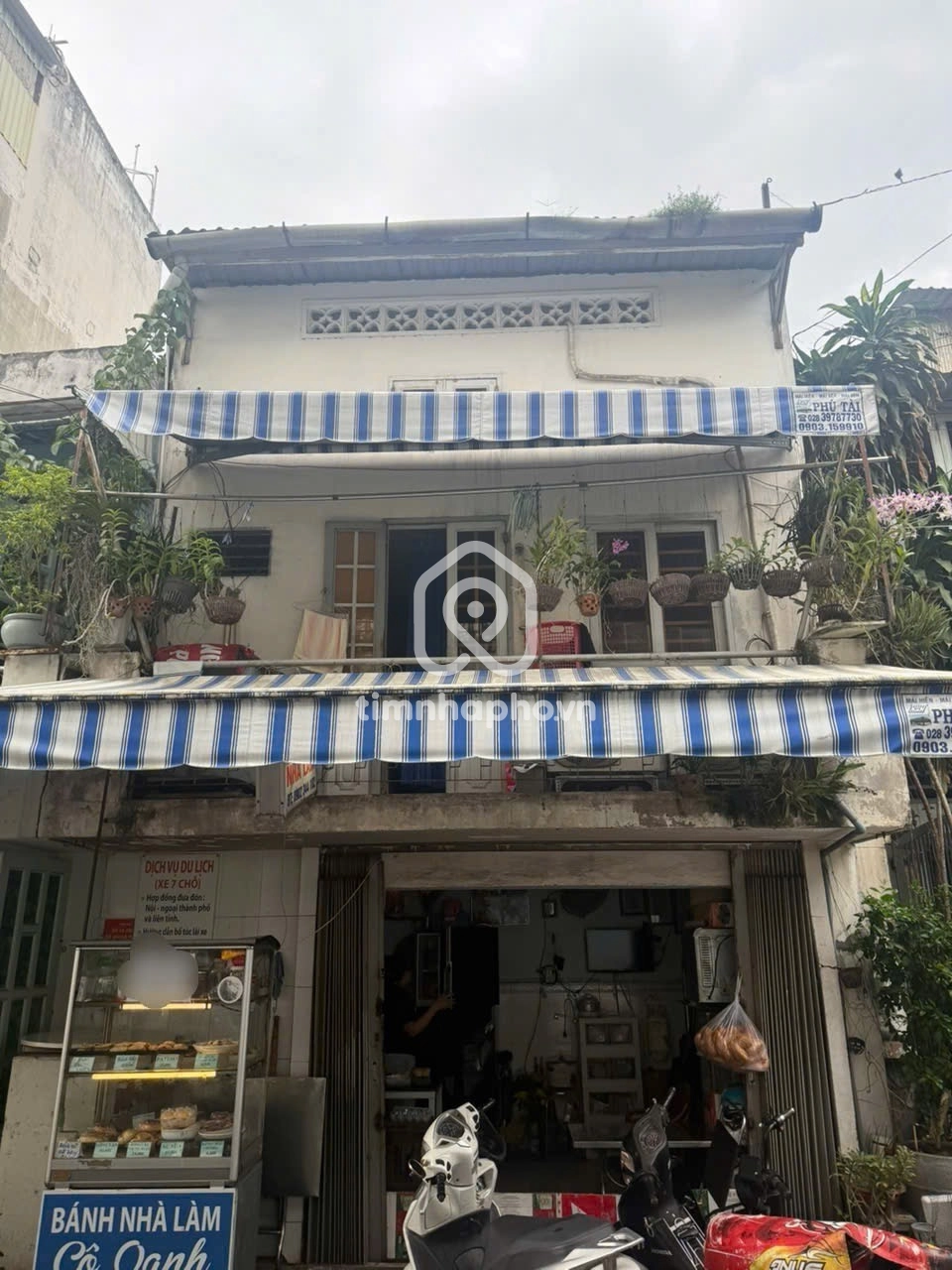 10CT Đường Tam Đảo, Phường Hòa Hưng
