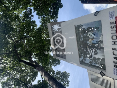 51 Đường Nguyễn Trãi, Phường Chợ Quán