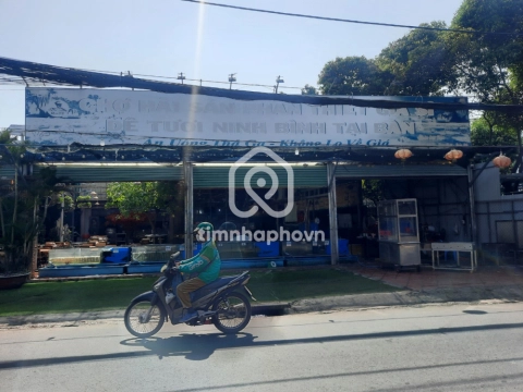 164 Đường Phan Huy Ích, Phường An Hội Tây