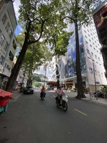 11 Đường Bùi Thị Xuân, Phường Bến Thành