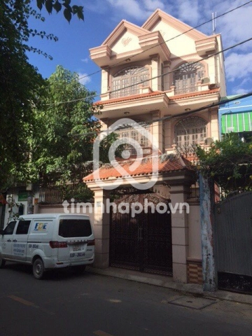 36 Đường Lam Sơn, Phường Tân Sơn Hòa