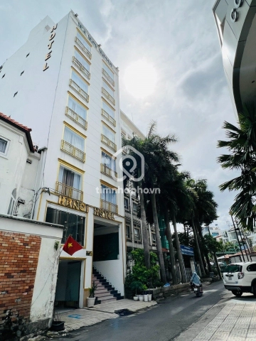 19/1 Đường Hoàng Việt, Phường Tân Sơn Nhất