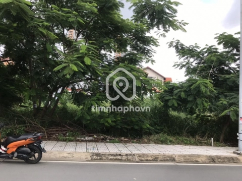 B12 Đường Thân Văn Nhiếp, Phường Bình Trưng