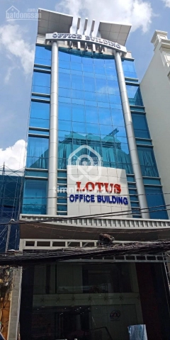 16 Đường Cửu Long, Phường Tân Sơn Hòa
