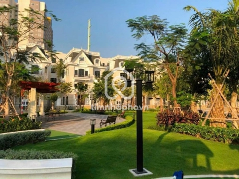 14 Đường Số 65, Phường Cát Lái