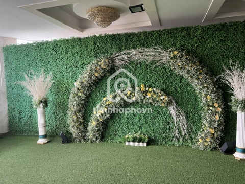 76 Đường Lưu Chí Hiếu, Phường Tây Thạnh