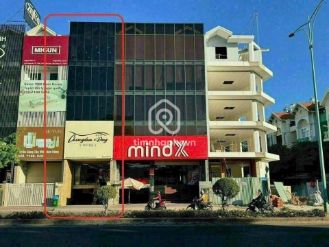 163 Đường Nguyễn Thị Thập, Phường Tân Mỹ