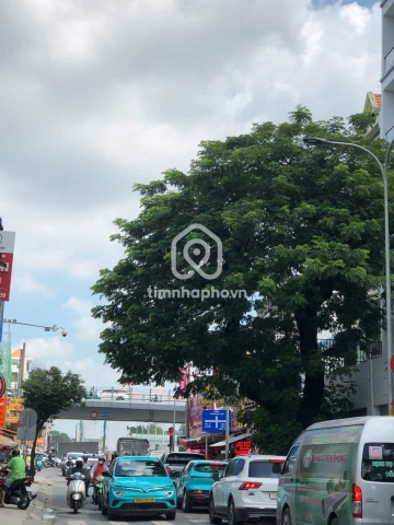 93 Đường Hoàng Hoa Thám, Phường Tân Bình