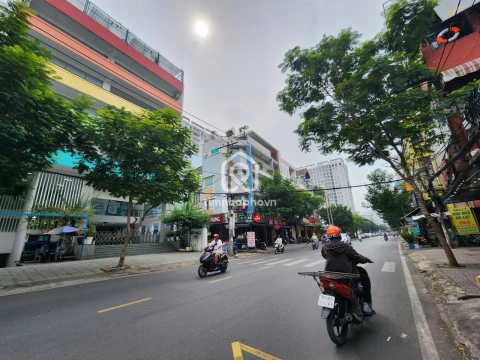 11 Đường Trương Công Định, Phường Tân Bình