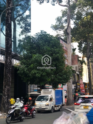 15 Đường Tôn Thất Tùng, Phường Bến Thành