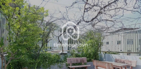 286/2B Đường Trần Hưng Đạo, Phường Cầu Ông Lãnh