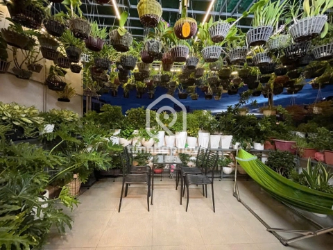 5/6 Đường Đất Thánh, Phường Tân Hòa
