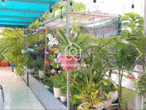 575/47/22 Đường Cách Mạng Tháng Tám, Phường Hòa Hưng