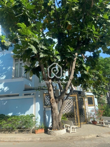 31 Đường Số 13, Phường Bình Trưng