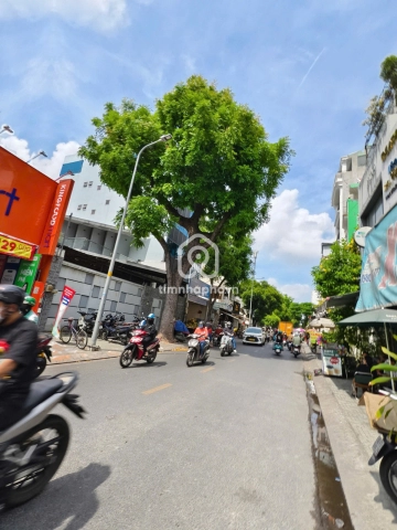103 Đường Hòa Hưng, Phường Hòa Hưng
