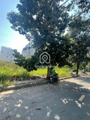Đường Số 63, Phường Cát Lái