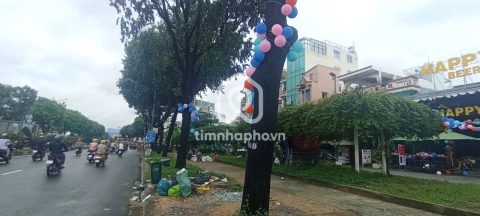 878 Đường Trường Chinh, Phường Tân Sơn