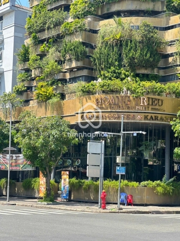 46 Đường Lê Văn Thiêm, Phường Tân Hưng