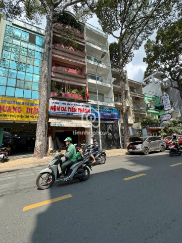 237 Đường Trần Bình Trọng, Phường Chợ Quán