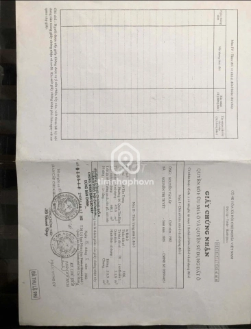 80 Đường Tân Trang, Phường Tân Hòa