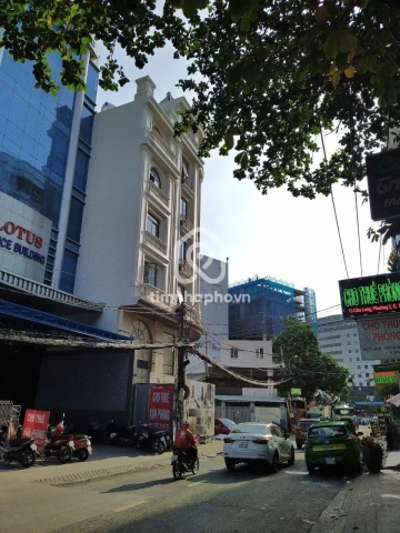 16 Đường Cửu Long, Phường Tân Sơn Hòa