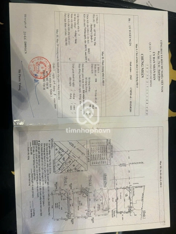 335-337-339-335/2 Đường Võ Văn Tần, Phường Xuân Hòa