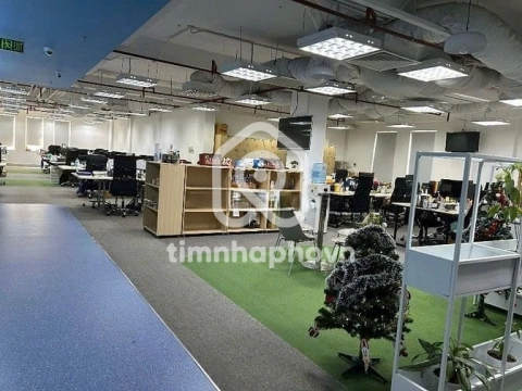 52 Đường Út Tịch, Phường Tân Sơn Nhất