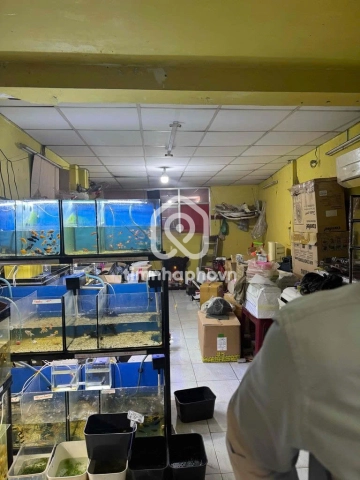 274 Đường Nguyễn Văn Đậu, Phường Bình Lợi Trung