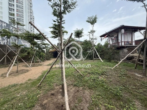 33 Đường Nguyễn Văn Dung, Phường An Nhơn