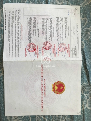 262 Đường Hòa Hưng, Phường Hòa Hưng