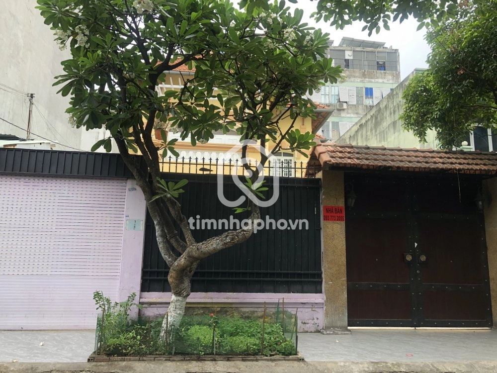 50 Đường Ngô Bệ, Phường Tân Bình