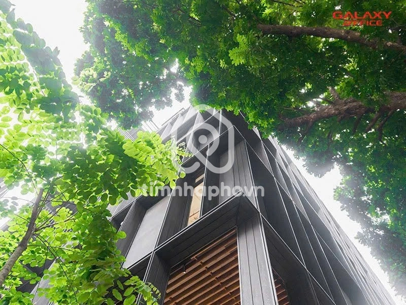 28 Đường Trần Quốc Thảo, Phường Xuân Hòa 28 Đường Trần Quốc Thảo, Phường Xuân Hòa