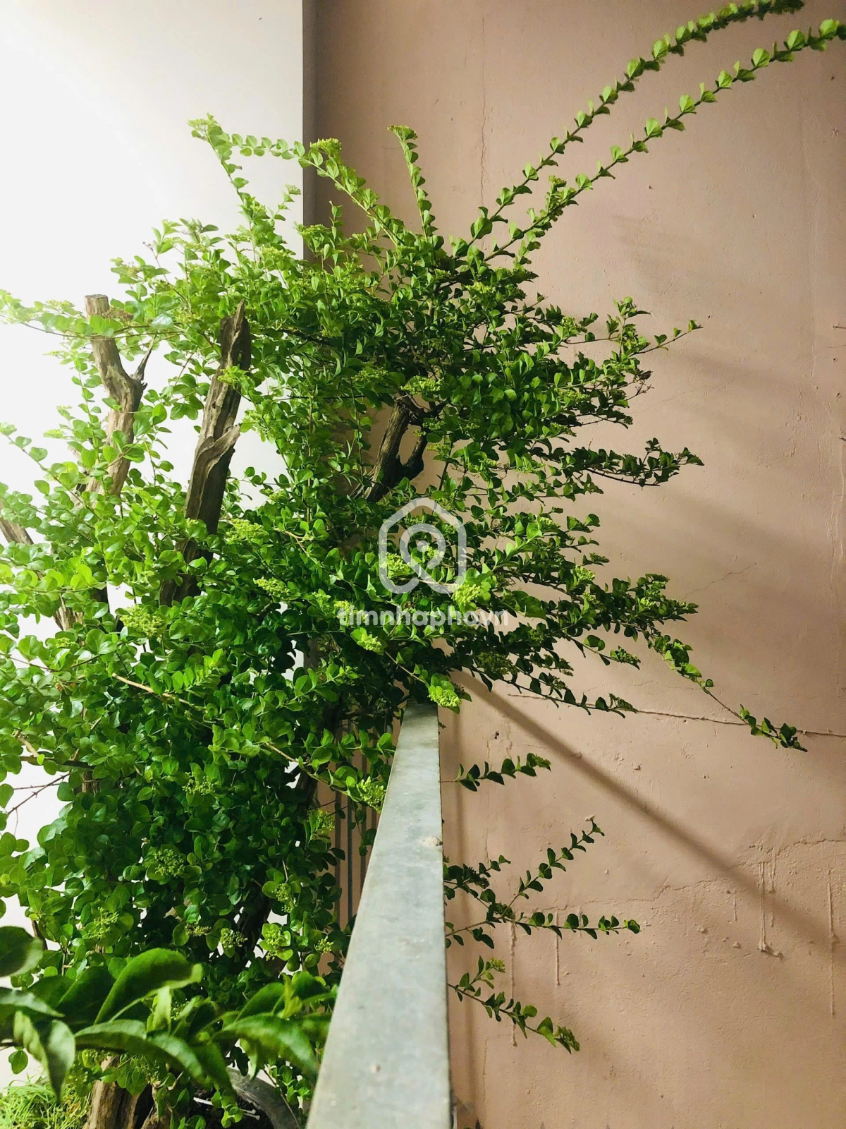 80/30-32 Đường Nguyễn Cửu Vân, Phường Gia Định 80/30-32 Đường Nguyễn Cửu Vân, Phường Gia Định